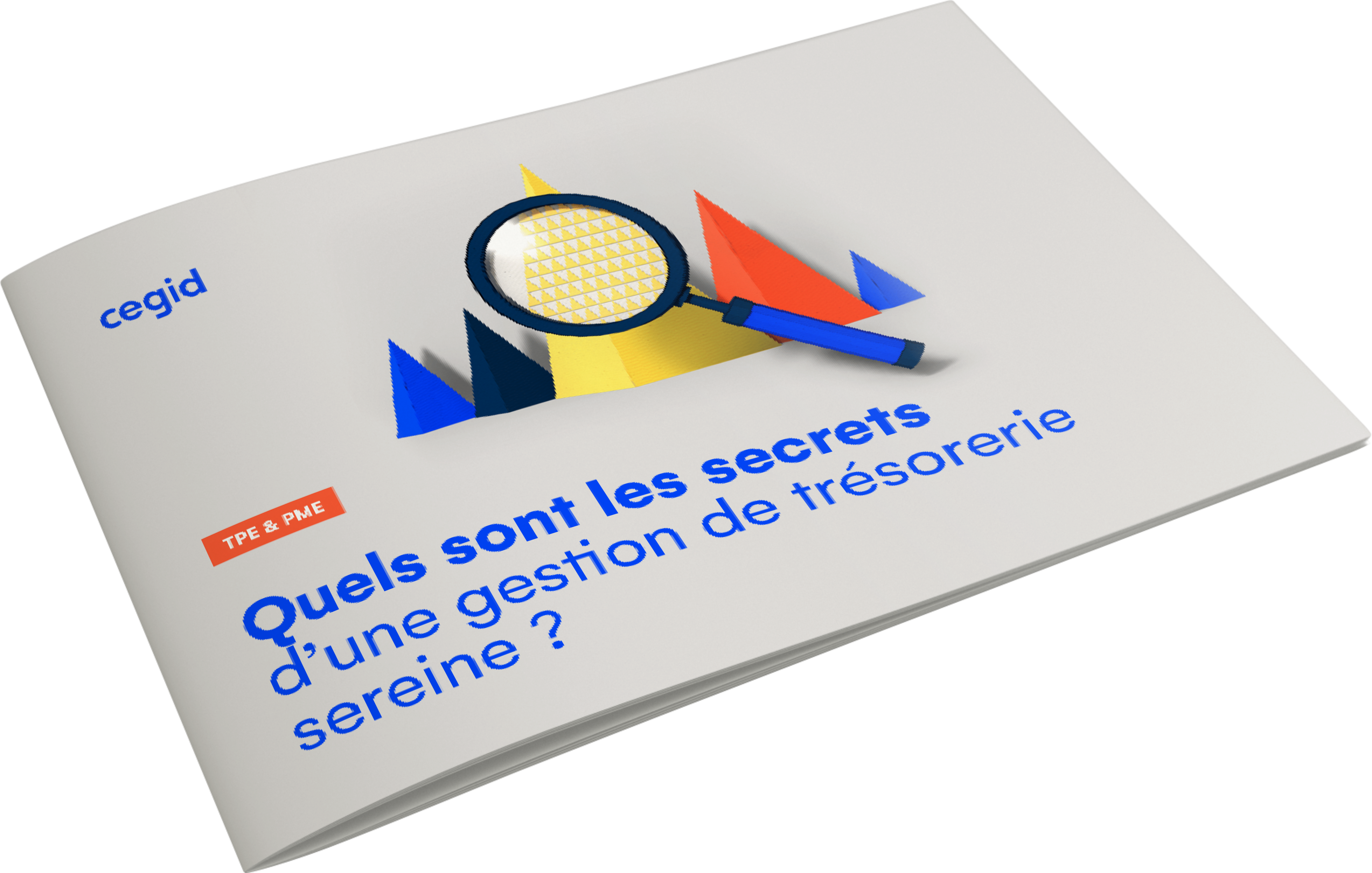 Quels sont les secrets d’une gestion de trésorerie sereine ?