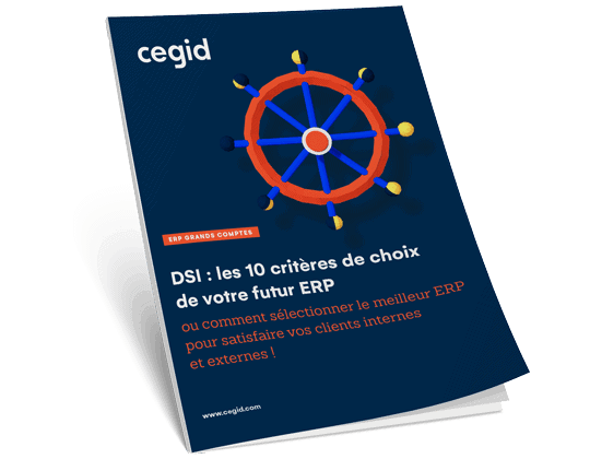 ERP DSI