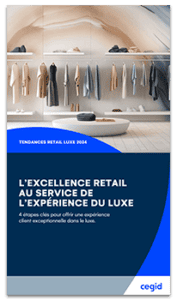 Ebook Luxury Retail