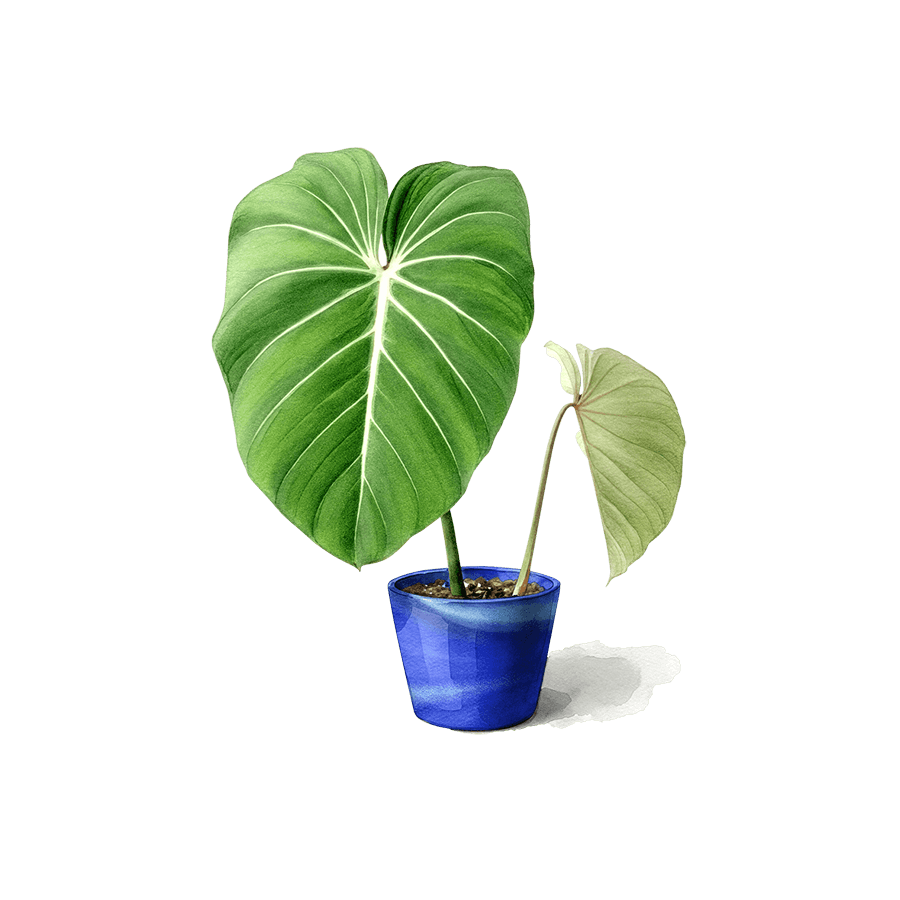 Illustration d'une plante en pot représentant la croissance et le développement durable
