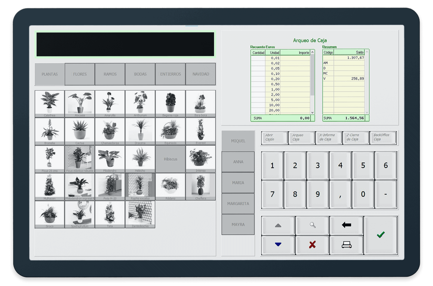 Software terminal punto de venta
